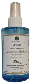 Idrolato di lavanda ibrida